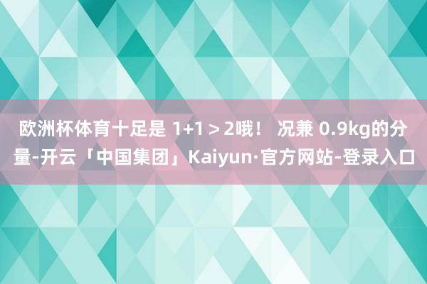 欧洲杯体育十足是 1+1＞2哦！ 况兼 0.9kg的分量-开云「中国集团」Kaiyun·官方网站-登录入口