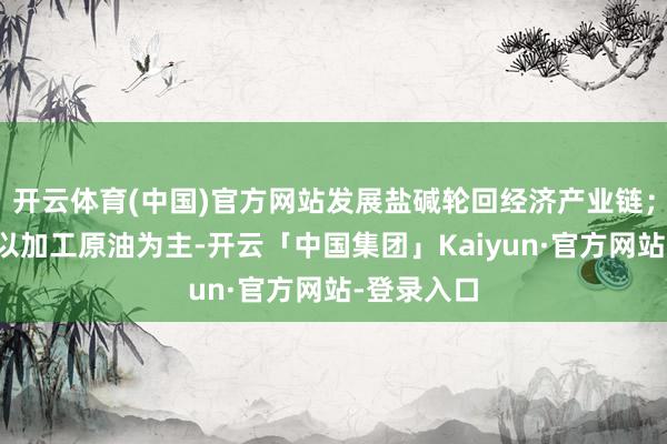 开云体育(中国)官方网站发展盐碱轮回经济产业链；石化板块以加工原油为主-开云「中国集团」Kaiyun·官方网站-登录入口