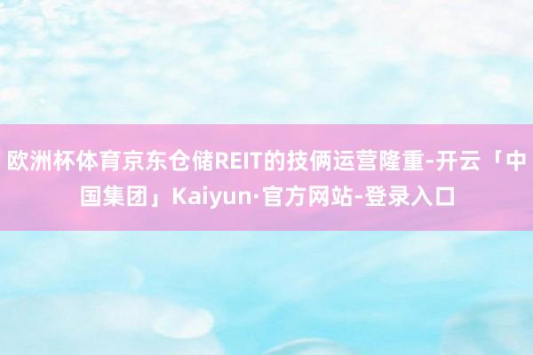 欧洲杯体育京东仓储REIT的技俩运营隆重-开云「中国集团」Kaiyun·官方网站-登录入口
