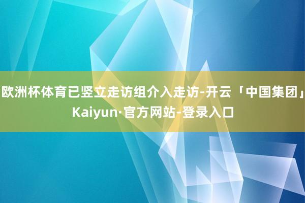 欧洲杯体育已竖立走访组介入走访-开云「中国集团」Kaiyun·官方网站-登录入口