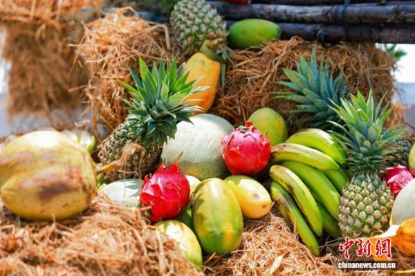 开云体育统共技俩均以儋州特质农居品为中枢说念具-开云「中国集团」Kaiyun·官方网站-登录入口