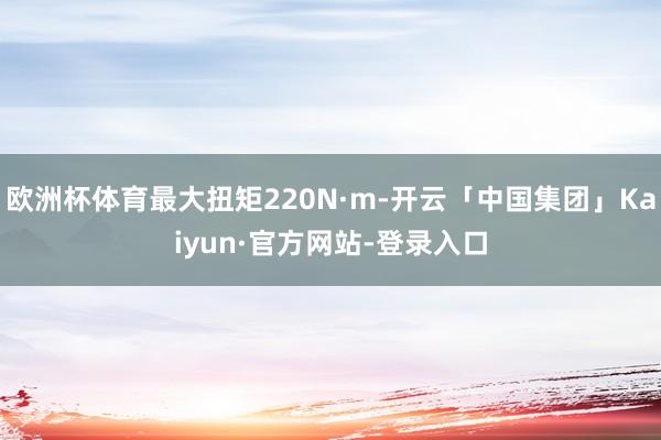 欧洲杯体育最大扭矩220N·m-开云「中国集团」Kaiyun·官方网站-登录入口