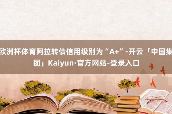 欧洲杯体育阿拉转债信用级别为“A+”-开云「中国集团」Kaiyun·官方网站-登录入口