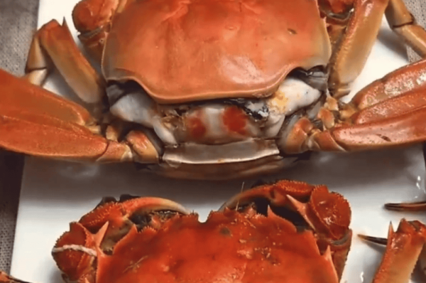 开云体育接受了退款表率以示忠诚-开云「中国集团」Kaiyun·官方网站-登录入口