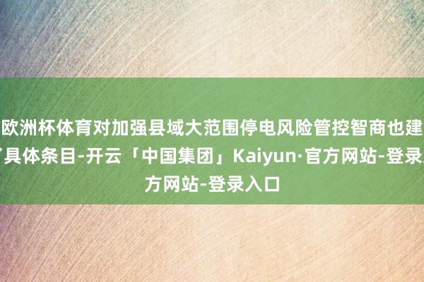 欧洲杯体育对加强县域大范围停电风险管控智商也建议了具体条目-开云「中国集团」Kaiyun·官方网站-